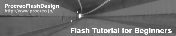 Flash Tutorial for Beginners